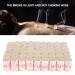54PCS Moxibustion Rolls - Pure High Penetration Sticks & Mini Moxa Burner for Enhanced Healing | International Shipping Available - Buy Online on GoSupps.com