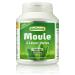 Greenfood Green Lip Mold, 500 mg, High Dose Extract, 120 Capsules - NO Artificial Additives, No Genetic Engineering
