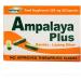 Ampalaya Supplement - 550mg 30 Capsules with Banaba Turmeric and Bitter Melon. Ampalaya Plus Capsules - Halal Herbal Suplements