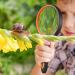Dicfeos Magnifying Glass 10X Handheld Reading Magnifier with Cleaning Cloth-100MM Large Magnifying Lens with Non-Slip Soft Handle for Seniors Book Newspaper Reading and Kids Nature Hobby Exploration - Buy Online on GoSupps.com