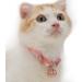 Necoichi Chirimen Cat Collar with Clover Bell Handcrafted in Japan - Pastel Pink, One Size - Buy Online on GoSupps.com