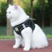 Femax Soft Mesh Dog Harness with Leash for Small & Medium Dogs and Cats Adjustable Breathable No Pull Vest for Chihuahuas Reflective XL (Chest 47-55cm) Black - Buy Online on GoSupps.com