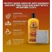 Howard SunShield Wood Wax 16oz - Premium UV Inhibitor Furniture Wax & Wood Conditioner for Indoor & Outdoor Use - Wood Restorer & Protector - Buy Online on GoSupps.com