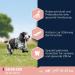 Eukanuba Premium Dry Dog Food with Fresh Chicken for Medium Breeds Senior Formula 15 kg | Ideal for International Shipping - Buy Online on GoSupps.com