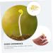 Alipis 200 Pcs Bean Sprouts Toy Bean Sprout Prop Faux Veggies Plastic Models Stress Reliever PVC Fake Food Assorted Color1x4pcs 10X5CMx4pcs - Buy Online on GoSupps.com