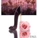 Princess High Heel Black Women Perfume 85ml Eau De Parfum Vaporisateur Spray Rose Floral Essential Oil From France - Buy Online on GoSupps.com