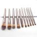 10/14 Champagne Color Makeup Brush Set - Full Beauty Tools for Flawless Foundation | Shop Internationally - Buy Online on GoSupps.com