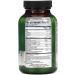 Irwin Naturals Double-Potency Ginkgo Biloba 60 Liquid Soft-Gels Brain, Focus & Circulation Support - 2 Pack - Buy Online on GoSupps.com