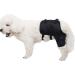 VEraiz Black Dog Knee Support Pet Knee Injury Postoperative Recovery Aids Pet Brace Heals and Prevent Injuries for Loss of Stability from Arthritis (Back Left S) Back Left S