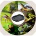 Reptile Rock Food Water Dish Food Bowl Worm Feeder Durable Pet Feeder Dish for Tortoise Lizard Gecko Scorpion chameleons (M-Green) M Green - Buy Online on GoSupps.com