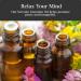 Buy Serenity Intention Ritual Oil - All-Natural Handmade Essential Oils for Relaxation & Spirituality | Art of the Root - Worldwide Shipping - Buy Online on GoSupps.com