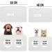 KARALUNA Basic Silicone Underlay 60x40 cm | Transparent Non-Slip Pet Feeding Mat for Dogs & Cats - Buy Online on GoSupps.com