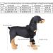 Reflective Dog Shoulder Brace Front Leg Brace Canine Elbow Protector Helps Wounds Healing Prevents Injuries Sprains(L) - Buy Online on GoSupps.com