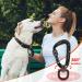 PANDENGZHE Locking Carabiner Clips 2.5 with Swivel Clasp for Pets, Camping, Hiking - 2 Pack - Buy Online on GoSupps.com