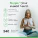 Phosphatidyl Serine 100mg - 240 Vegan Capsules for Brain Health & Memory Support by Raw Powders - Buy Online on GoSupps.com