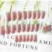Shop Hujl 24-Piece Set of Pink Artificial Nails - Long Mirror Finish Complete Coverage Fashionable Nail Tips - International Shipping Available - Buy Online on GoSupps.com