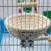 Bird Cage Nest Cotton Weave Hemp Rope Bird House Bed Hatching Nesting Box with 2 Fixing Screws Parrot Cage Hatching Nesting Box for Budgie Cockatiel Lovebird - Buy Online on GoSupps.com