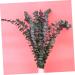 Zerodeko 10pcs Flower Plants Wedding Bouquets Eucalyptus Branches Naturales Faux Eucalyptuses Faux Eucalyptus Leaves Eucalyptus Tree Leaves Fake Eucalyptus Christmas Decorations - Buy Online on GoSupps.com