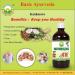 LOGY Basic Ayurveda Kankasava 450ml - Buy Online on GoSupps.com