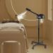  Estabeter Facial Sauna Spray 800W Ozone Humidifier Adjustable Height for Living Room Home Cosmetics - Buy Online on GoSupps.com