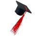 Graduation Hat Insert - 3D Doctoral Hat | Graduation Hat Hairpins Hat Inserts Graduation Accessories for Women Men Red