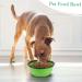 Vivifying Large Foldable Dog Bowls - Silicone BPA-Free Travel Bowls for Feeding & Watering | Portable Black & Green Design - Buy Online on GoSupps.com