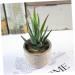 MAGICLULU 2pcs Faux Plant Simulation Plant Small Succulent Plants Home D cor Succulent Simulation Succulents Arrangements Suculentas Artificial Plants Decorative Plants Mini Cactus - Buy Online on GoSupps.com