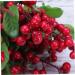 Zerodeko 10 Pcs Wedding Decoration Simulation Berry Branch Christmas Berry Pick Vases for Flowers Flower Vase Artificial Red Berry Stems Floral Plants Picks Display Blueberry Fruit Vacation Redx2pcs Size 5x2pcs - Buy Online on GoSupps.com