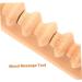 Shop Healeved Roller Massage Devices - Foot Hand Scalp & Body Tools for Ultimate Relaxation | International Shipping Available - Buy Online on GoSupps.com