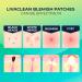Livaclean (120 Count 3 Pack) Mix of Regular Tea and S.Acid Hydrocolloid Patch Stickers Face Absorbing Cover Face Patches Hydrocolloid Bandages 3 Pack - 120 Count - Buy Online on GoSupps.com