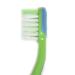Kids 4-Pack Extra Soft Bristle Toothbrush Set with Suction Base and Travel Covers - Blue/Purple/Green - BPA Free | Toddler Boys Dental Care Kit - Buy Online on GoSupps.com