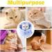 Adjustable Cat Protective Collar - Waterproof Postoperative Cone for Kittens & Cats | Leak Protection & Comfort - Buy Online on GoSupps.com