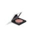Sisley Le Phyto Blush 4 Golden Rose - 6.5g/0.22oz | Sisley Blush - Buy Online on GoSupps.com