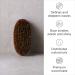 Diane Premium 100% Boar Bristle Brush for Men - Medium Firm Bristles | Ideal for Smoothing, Styling, and Wave Styles | Soft on Scalp | D8114 - Buy Online on GoSupps.com