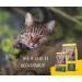 Josera Naturecat Cereal-Free Cat Food 10 kg | Super Premium Poultry & Salmon Dry Food for Adult Cats | International Shipping Available - Buy Online on GoSupps.com