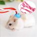 Buy Hamster Dishes & Small Pet Leash Harness with Bell Collar | Pink Training Gear for Dwarf Hamsters Gerbils Rats & Mice - International Shipping - Buy Online on GoSupps.com