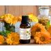 2-PACK Calendula Essential Oil - 100% Pure Organic Natural Plant (Calendula officinalis) Calendula Oil for Diffuser Aroma Spa Massage Yoga Perfume Body - 2x10ML - Buy Online on GoSupps.com