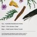 Salt & Stone Natural Deodorant + Hand Cream Bundle | Santal & Vetiver - Buy Online on GoSupps.com