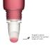 Clarins Natural Lip Perfector 02 - Apricot Shimmer | 0.35 oz | Moisturizing Lip Gloss - Buy Online on GoSupps.com