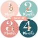 Baby Monthly Stickers | Floral Baby Milestone Stickers | Newborn Girl Stickers | Month Stickers for Baby Girl | Baby Girl Stickers | Newborn Monthly Milestone Stickers (Set of 24)