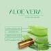 100% Pure Aloe Vera Oil - 4oz | Best Quality for Skin & Hair | Shop Internationally - Buy Online on GoSupps.com