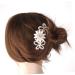 DOITOOL Bride Hair Comb Pearl Hair Accessories Women Hair Accessories Wedding Hair Ornaments Hair Accessories for Women Bridal Hair Accessories Hair Clip Artificial Women's - Buy Online on GoSupps.com