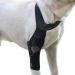 Hip Brace for Dogs | Dog Leg Protector Back Leg Hip Support with Metal Strip High Elasticity Breathable Leg Protector for Recovery Period Jiahua Black Medium - Buy Online on GoSupps.com