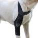 Dog Hinds Leg Support Dog Leg Protector | Breathable Back Leg Support with Metal Strip High Elasticity Leg Protector for Senior Dogs Hamil Black X-Small