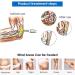 Buy HNCXHX Extra Corporal Shock Wave Therapy Device for ED - Professional Physiotherapy Device 110V - Buy Online on GoSupps.com