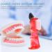 4pcs Healevad Denture Brush Set - Dual Head Toothbrushes for Hard Denture Cleaning - Buy Online on GoSupps.com