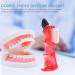 Denture Care Brush Set 4pcs Small Hard Toothbrushes for Oral Care and Retainers - Dual Head Interspace Design for Effective Cleaning - Plastic Brushes for Adults - Buy Online on GoSupps.com