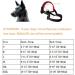ILEPARK XXL Red Nylon Dog Muzzle - Adjustable Loop to Prevent Biting Barking & Chewing | International Shipping - Buy Online on GoSupps.com