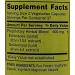 SpringValley Echinacea Goldenseal Blend 900mg Capsules - Immune Health Support - Buy Online on GoSupps.com