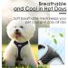 Thinkpet No-Pull Dog Harness - Breathable Adjustable & Reflective - Safe Control for Small & Medium Dogs (Black) - Buy Online on GoSupps.com